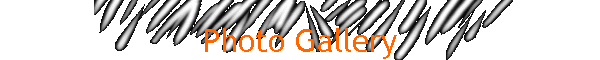 Photo Gallery