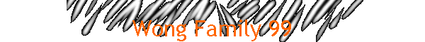 Wong Family 99
