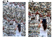 wp5070d131.png