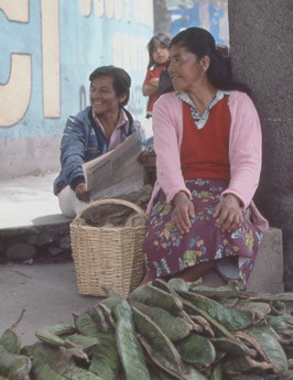 IbarraVegVendorsWeb1.jpg (39522 bytes)