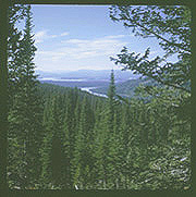 bbtetonvalley.JPG (31294 bytes)