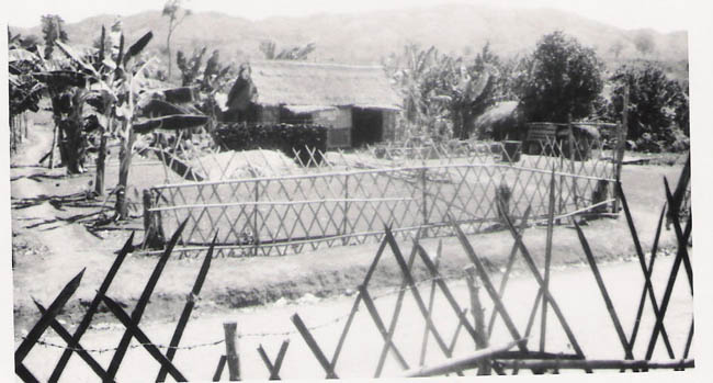 nam183