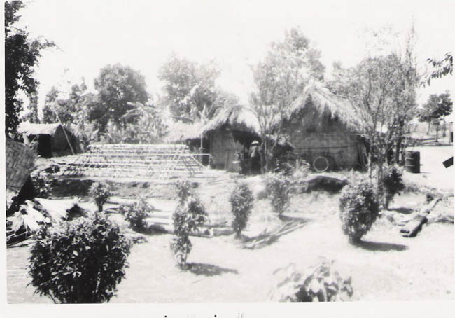 nam184
