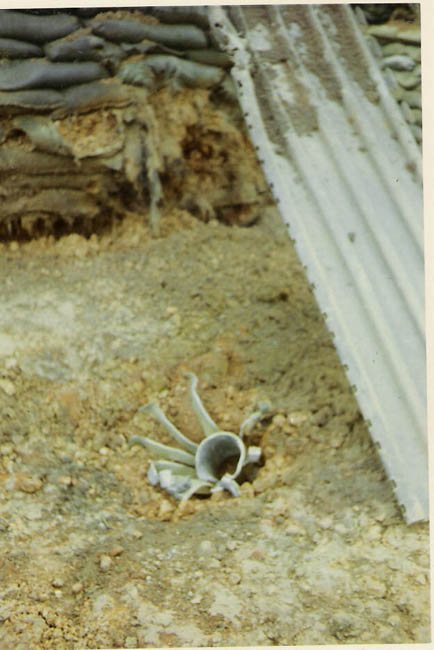 nam59