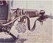 nam56