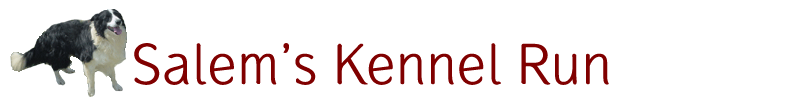Salem's Kennel Run