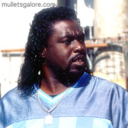 mullet8.jpg