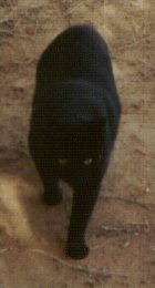 I PROTECT THAT WICH MATTERS MOST