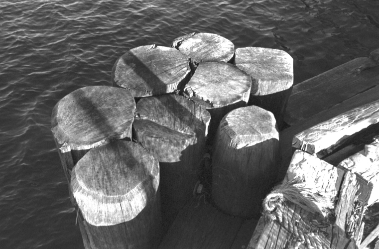 pilings