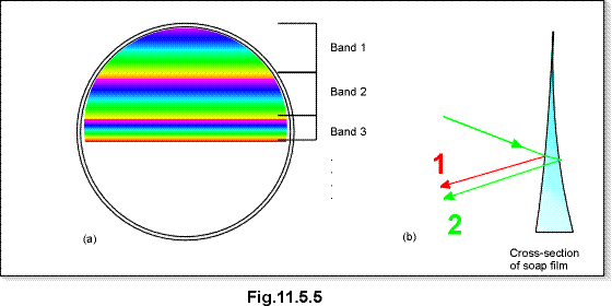 c11.5.5.gif (12010 bytes)