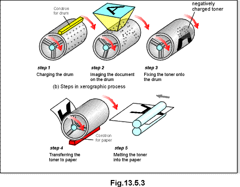 c13.5.3.gif (17735 bytes)