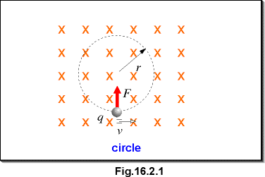 c16.2.1.gif (4733 bytes)