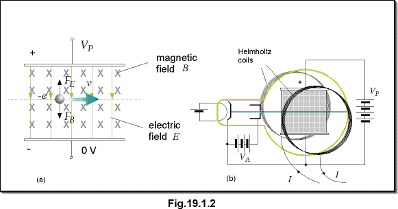 c19.1.2.gif (11937 bytes)