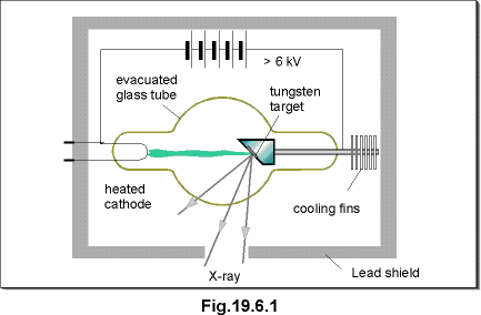 c19.6.1.gif (8497 bytes)