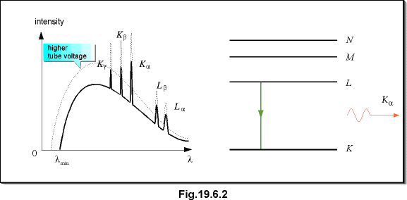 c19.6.2.gif (6532 bytes)