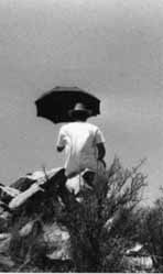 umbrella.jpg (6468 bytes)