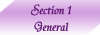 Section1