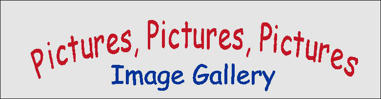 Image Gallery