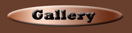 Galleries, competitions, requests and illustrated stories.