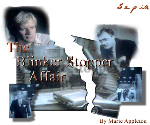 blinker.jpg (34121 bytes)