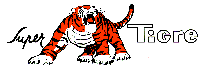 Motores SuperTigre