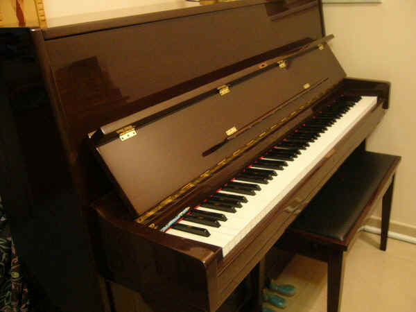 piano.jpg (22167 bytes)