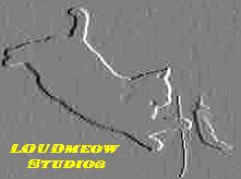 LOUDmeow Studios
