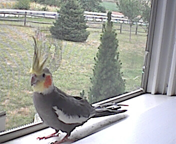 My baby!! Isn't he cute!?