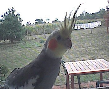 There's my sweetie again!