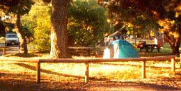 Campsite