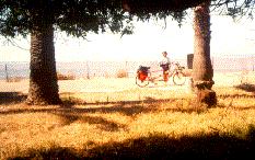 Campsite