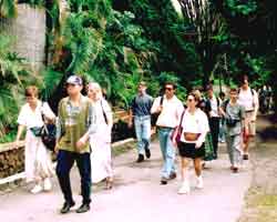 in the campus