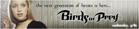 Birds of Prey Online Web Site - Support the campaign to convince the WB NOT to cancel this show...