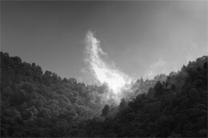 mountain mist