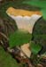 fungi176