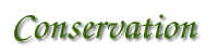 Conservation