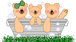bears