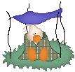 duck