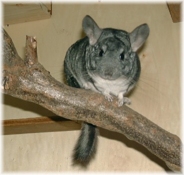 September 2001
