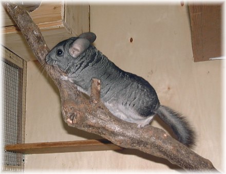 September 2001