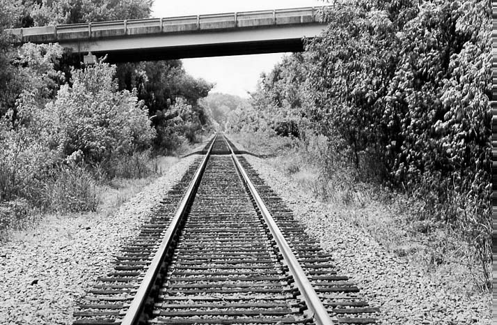 Black & White Photography