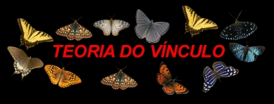 vinculo.jpg (41702 bytes)