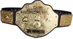 Current Champs for my WWE RPG