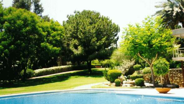 garden