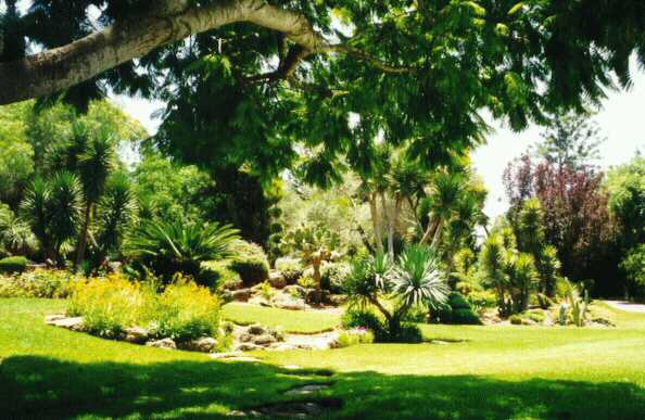 garden