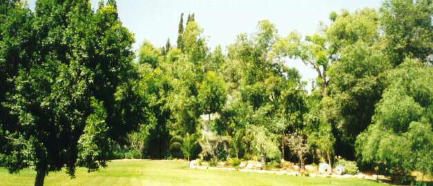 garden