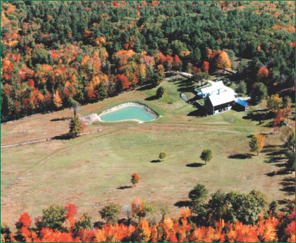 fall