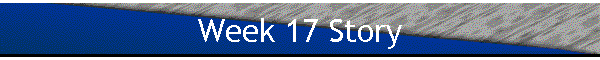 Week 17 Story