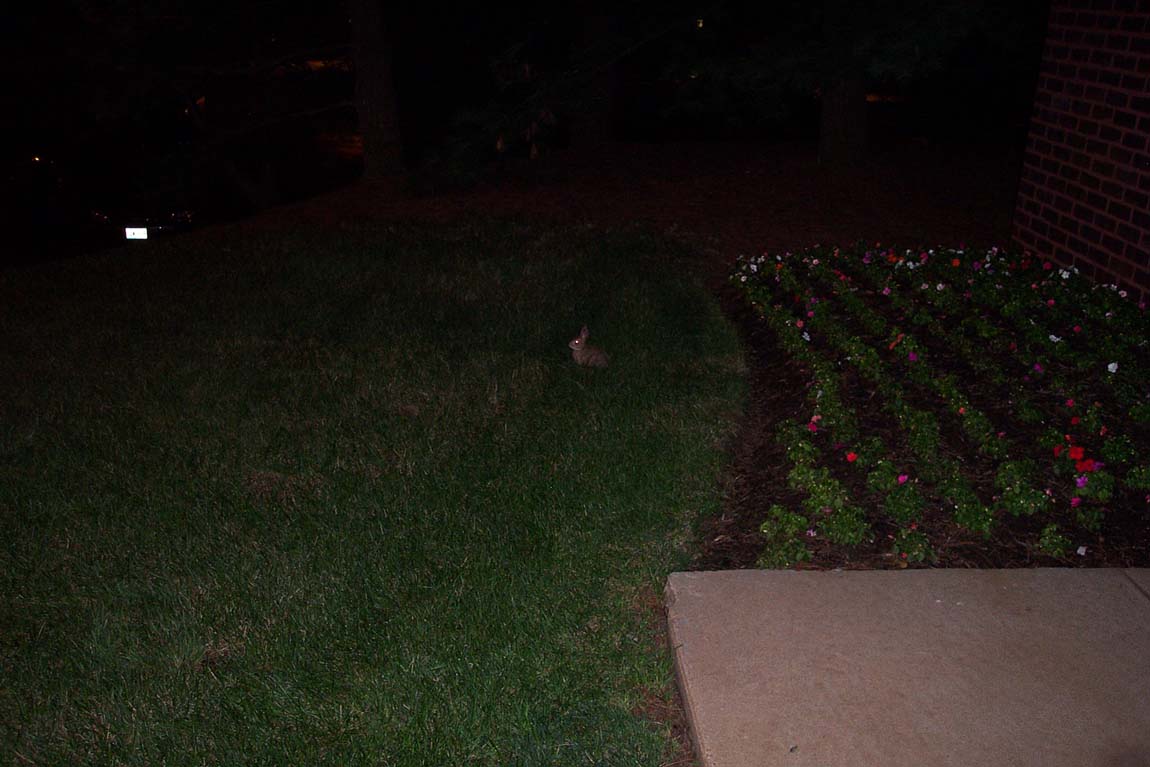 RUN AWAY, RUN AWAY!!