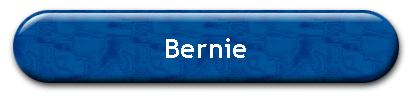 Bernie
